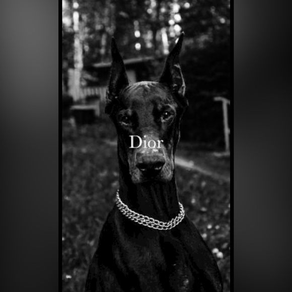 🎁$99 VENDY LUXURY MYSTERY AUCTIONS 11/9🎁 - Picture 11 of 16